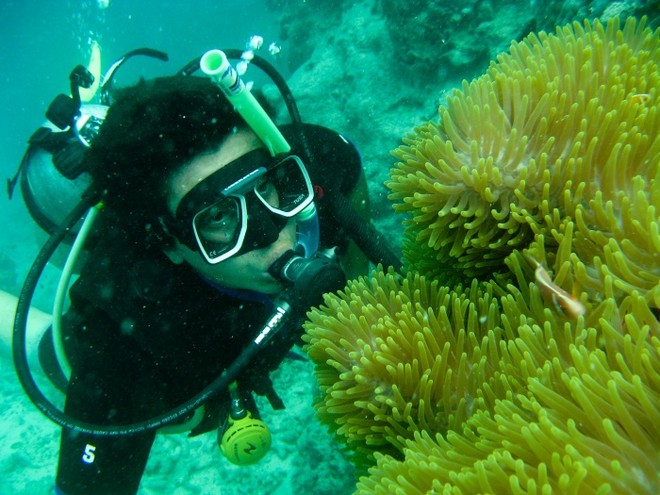 Hardy Reef Diving © Fantasea Adventure Cruising - copyright http://www.fantasea.com.au